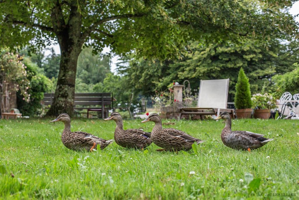 La Ferme De Marie Eugenie Bruailles Exterior foto